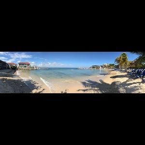 Meet your Posher, Bruce